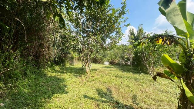 新竹交通用地-3