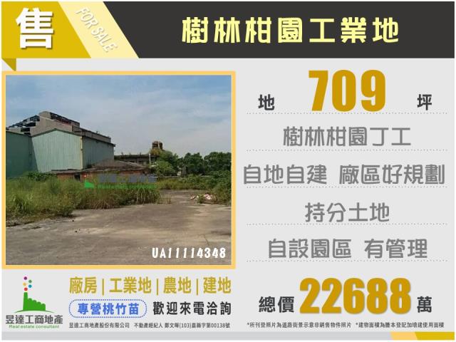 新北樹林工業地-1