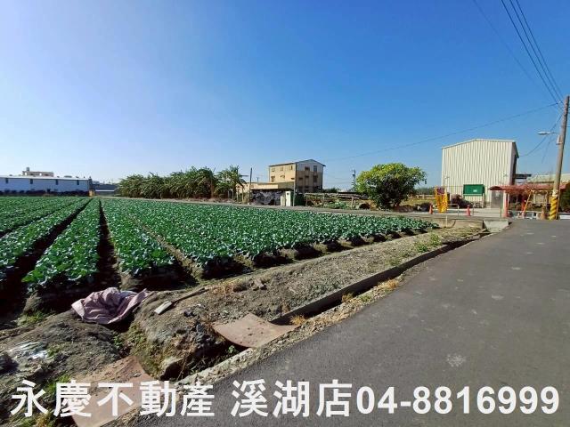 彰化埔鹽農地-11