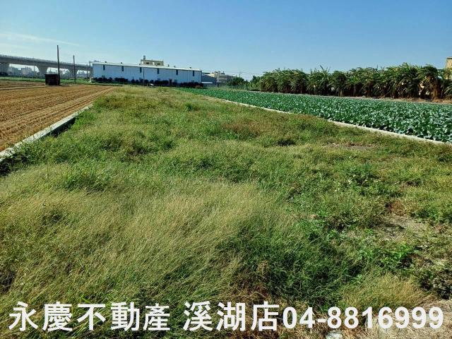 彰化埔鹽農地-3