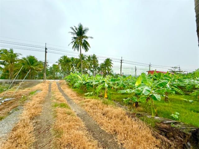 高雄旗山農地-2