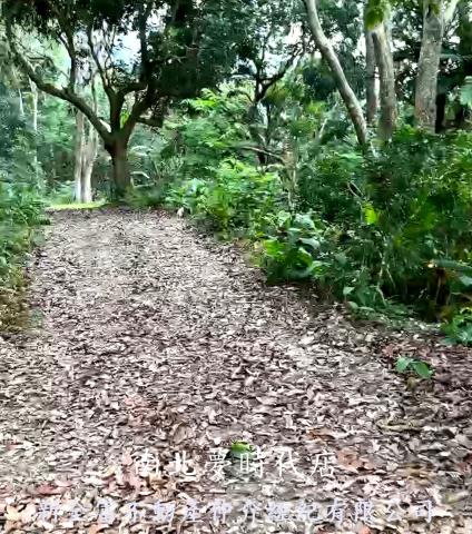 高雄杉林農地-3