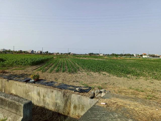 台南學甲農地-3