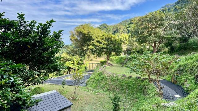 新竹橫山農地-9