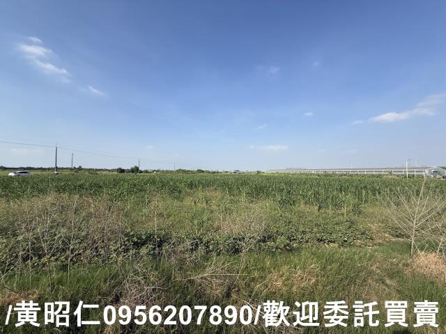 台南永康農地-4
