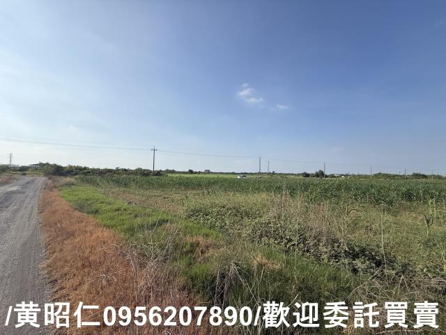 台南永康農地-5