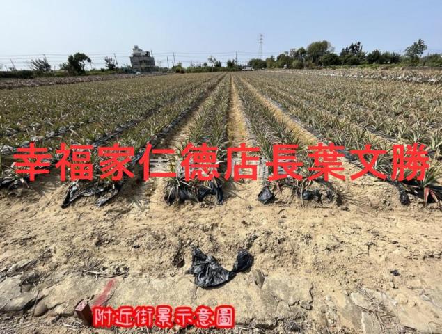 台南山上農地-15