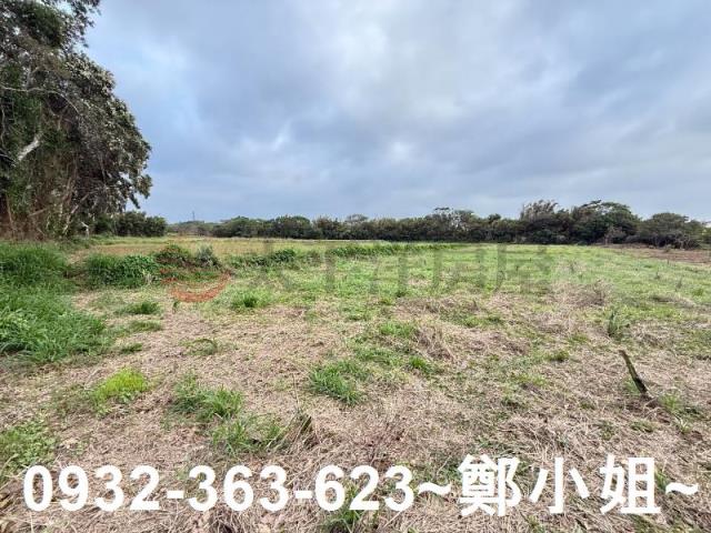 新屋農地-5