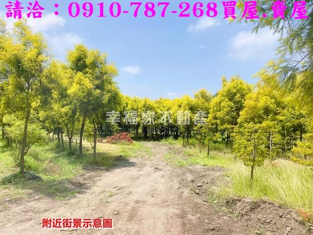 台南六甲農地-11