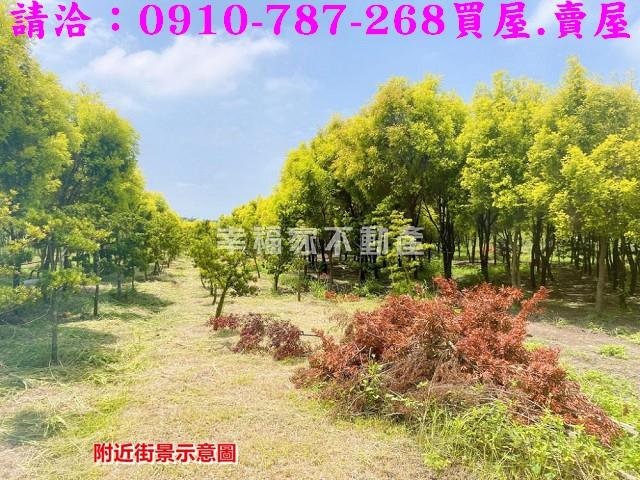 台南六甲農地-5