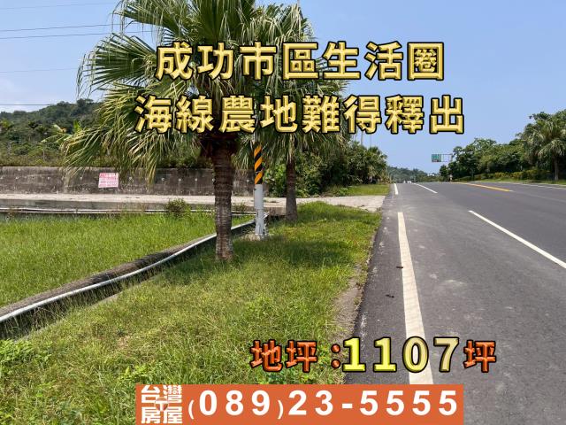 成功農地-4