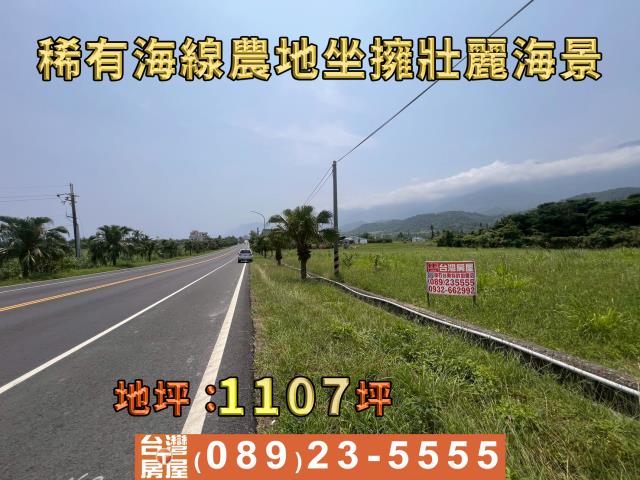 成功農地-8