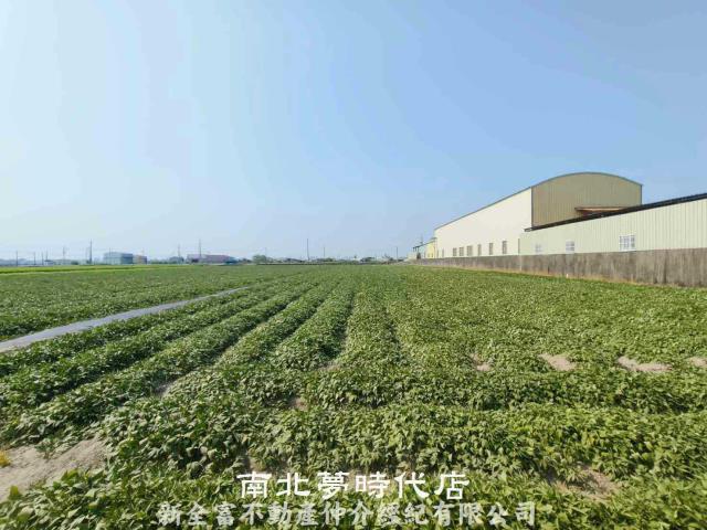 新市農地-2