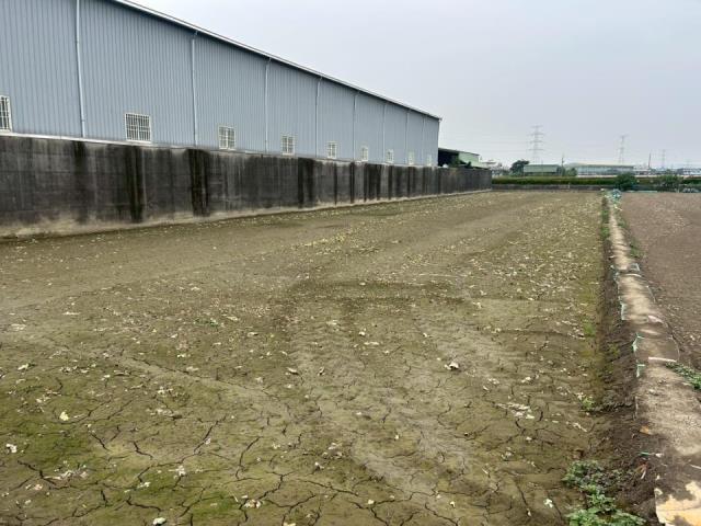 高雄大寮農地-4