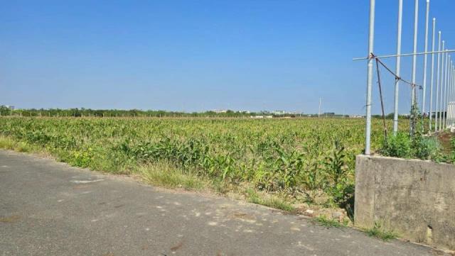 台南麻豆農地-4