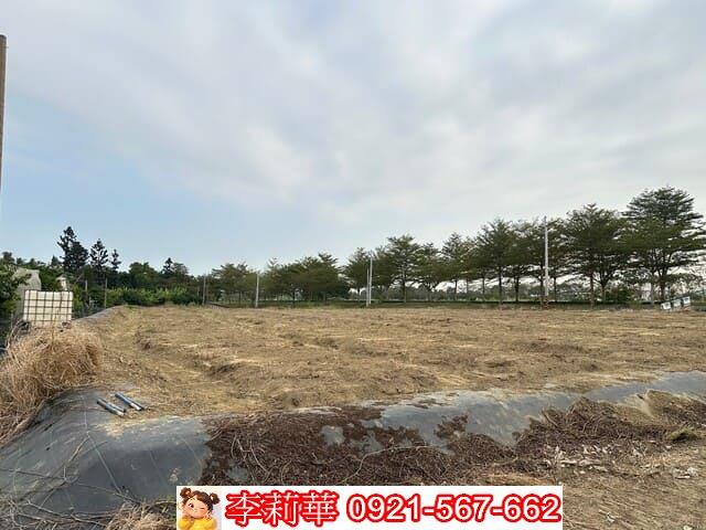 台南新化農地-5