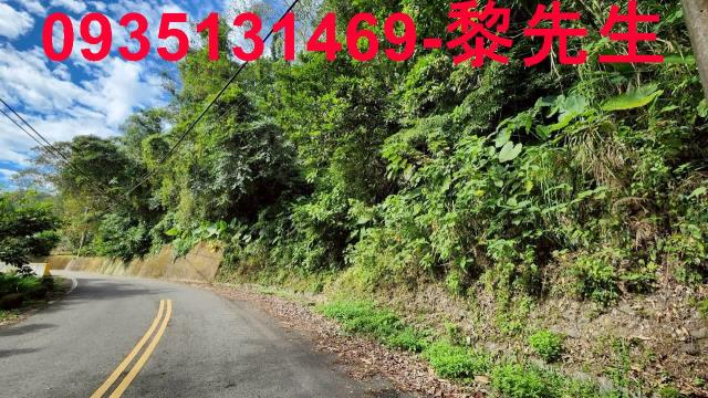 新竹北埔農地-2