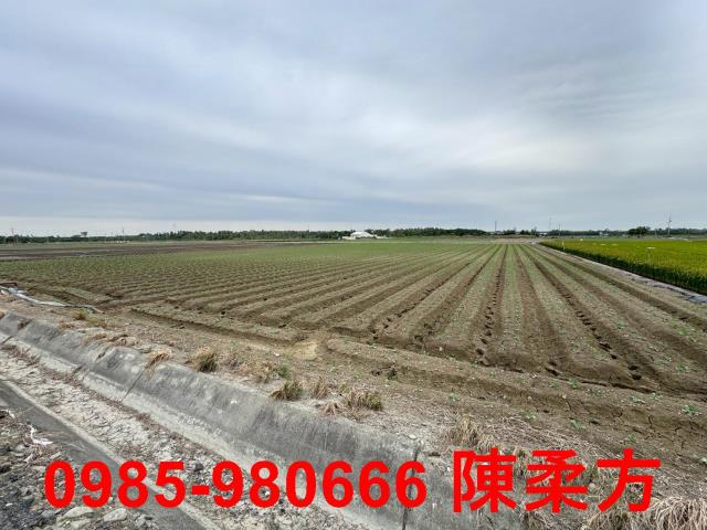 嘉義水上農地-1