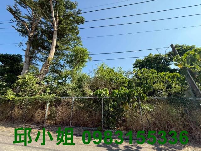 嘉義中埔農地-1