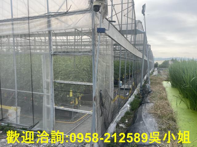 南投埔里農地-13