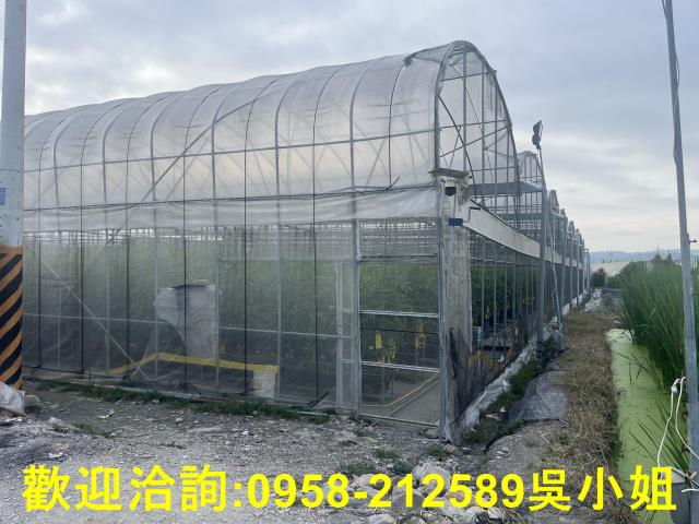 南投埔里農地-8