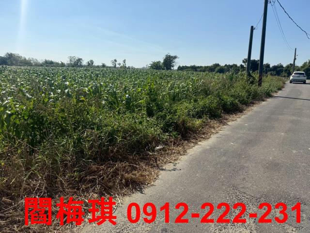 善化農地-2