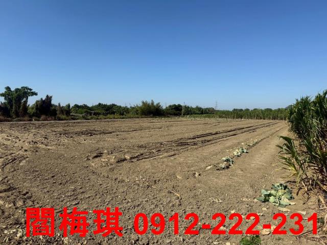善化農地-1