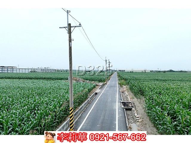 鹽水農地-1