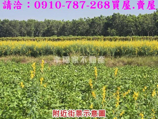 台南農地-4