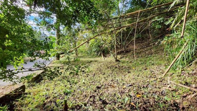 新竹北埔農地-7