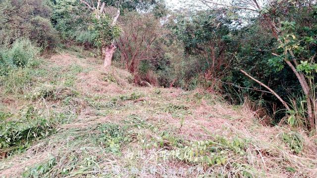 台南楠西農地-2