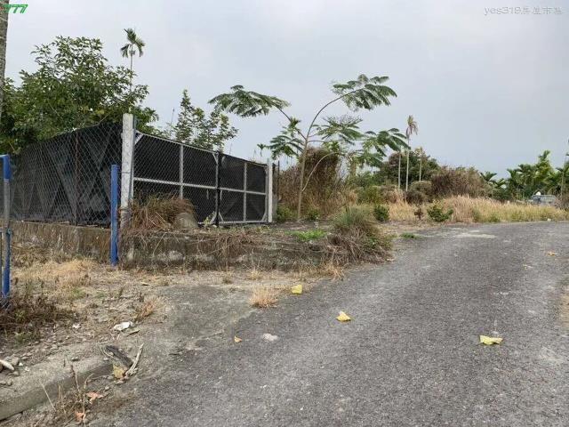 屏東高樹農地-4