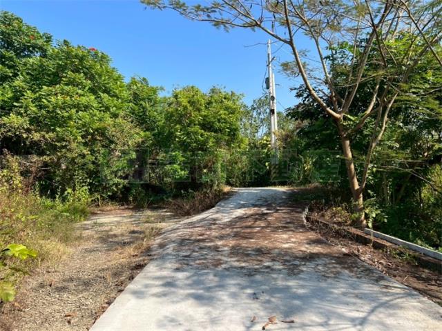 高雄旗山農地-2