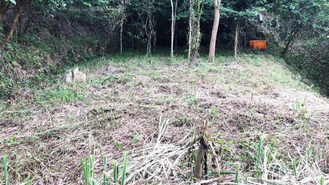 新竹關西農地-11