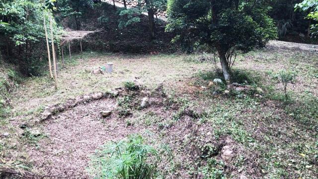 新竹關西農地-7