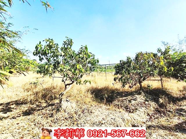 台南關廟農地-13