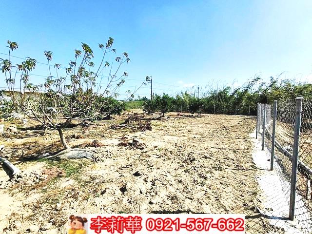 台南關廟農地-8