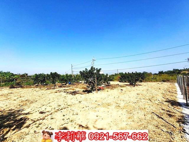 台南關廟農地-9