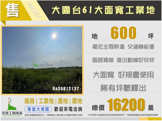 桃園大園工業地-4