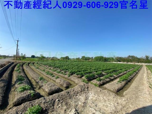 嘉義農地-1