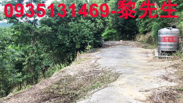 新竹關西農地-14