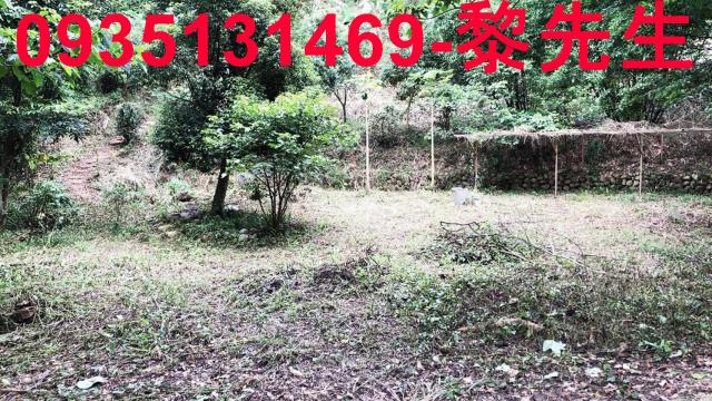 新竹關西農地-11