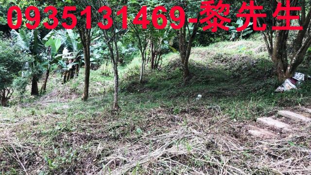 新竹關西農地-8