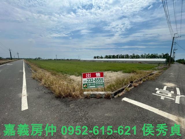 嘉義太保建地-1