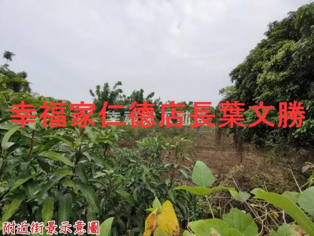 台南新市農地-11