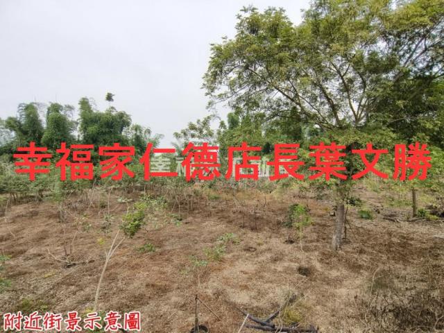 台南新市農地-15