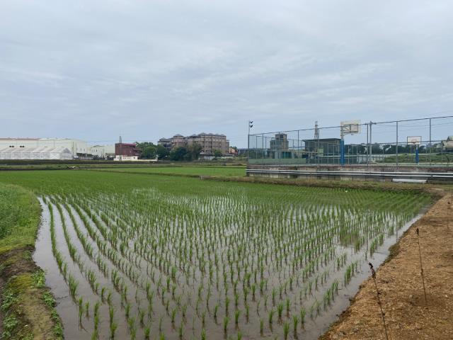 桃園農地-1