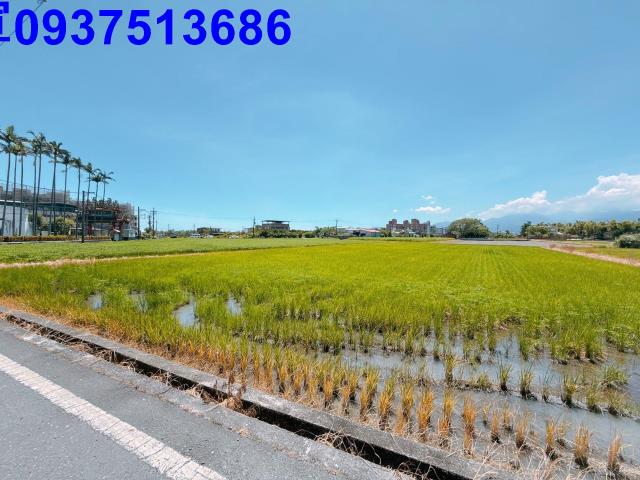 宜蘭五結農地-14