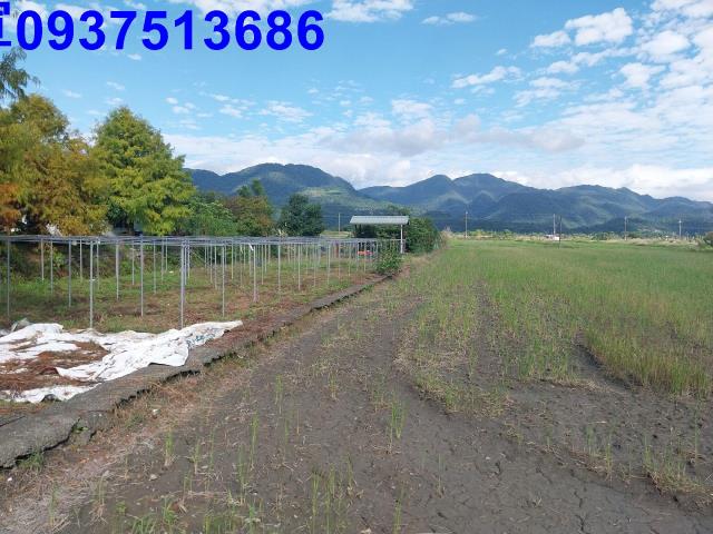 宜蘭三星農地-1