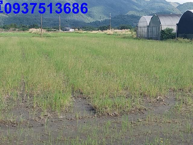 宜蘭三星農地-3